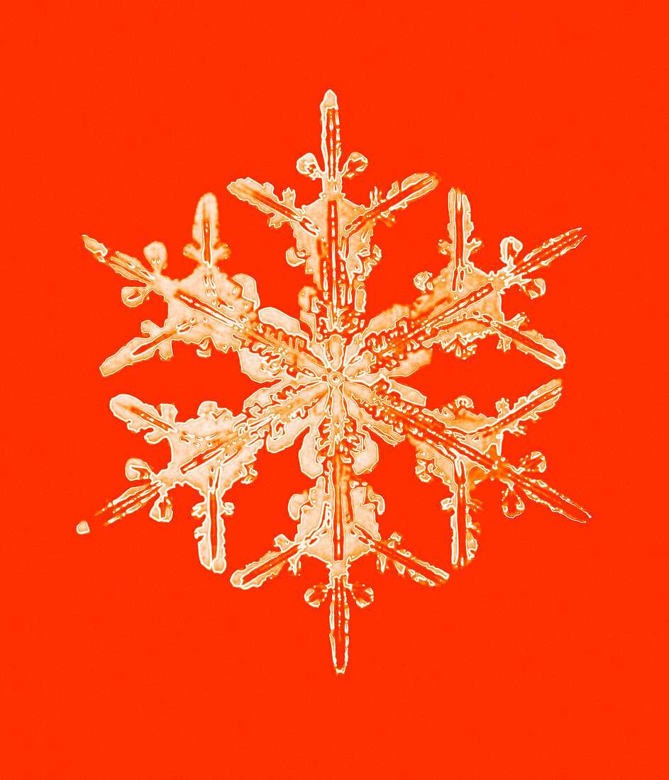 Snowflake