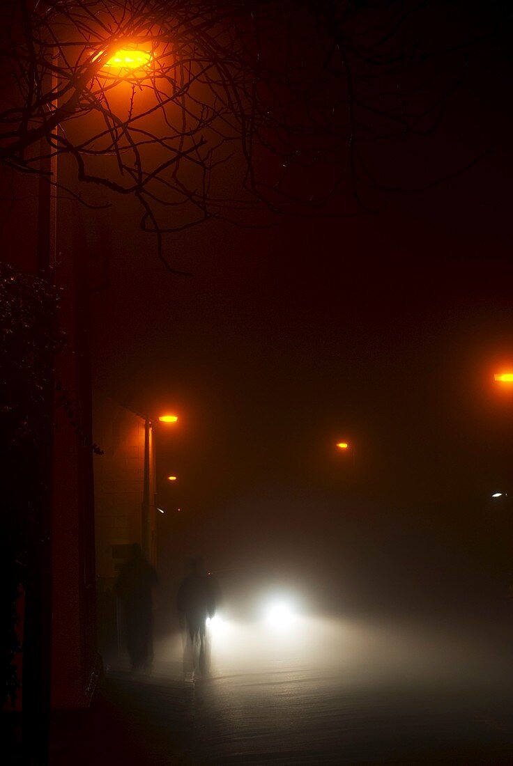 Traffic on a foggy night