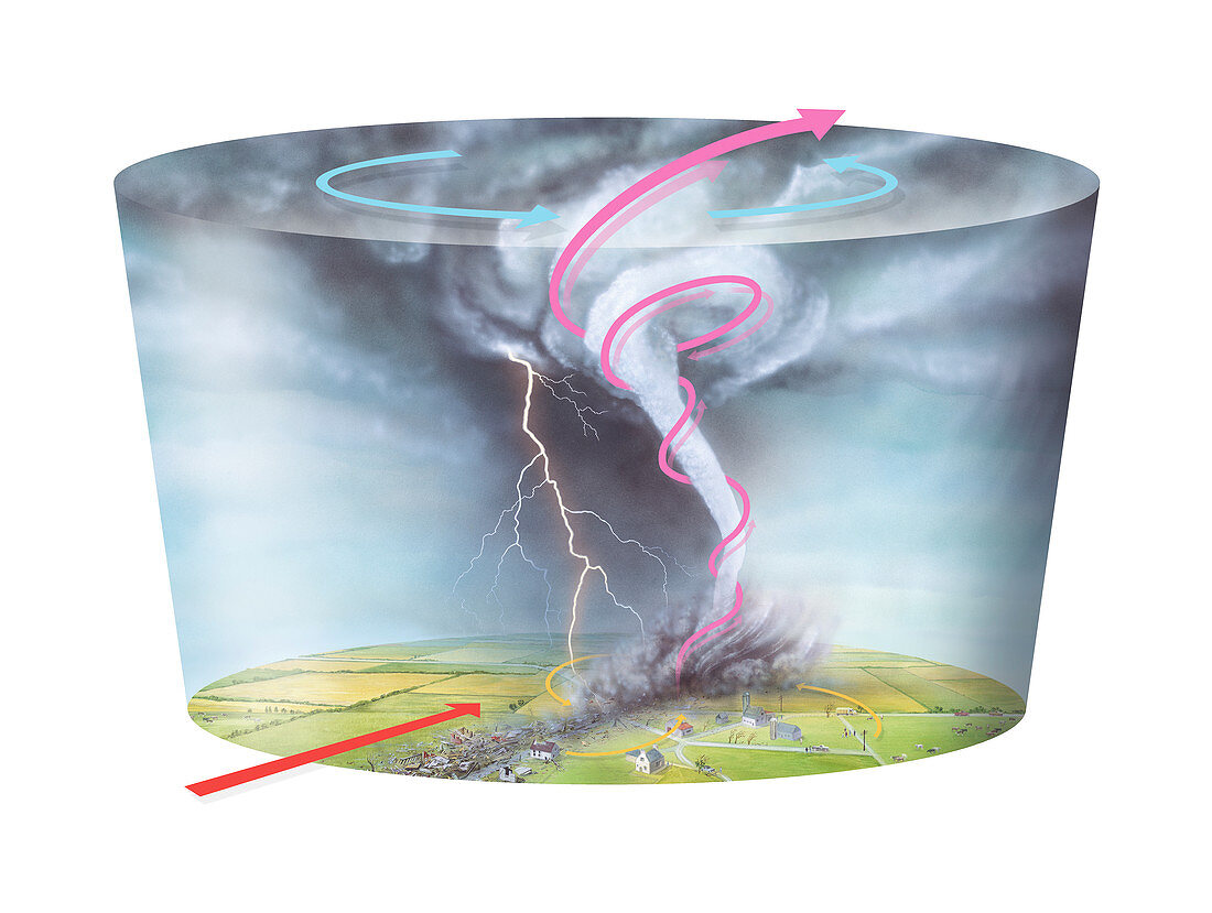 Tornado dynamics