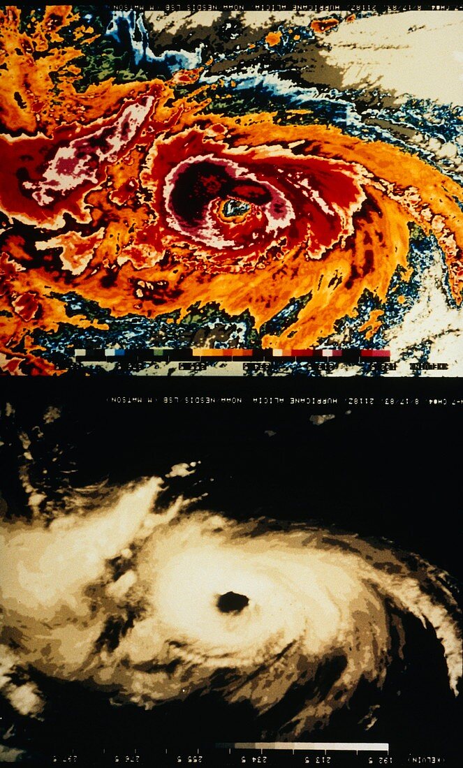 NOAA Satellite image of hurricane Alicia