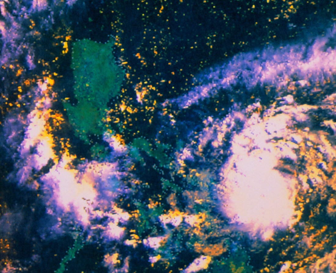AVHRR image of Typhoon Yunya near Philippines