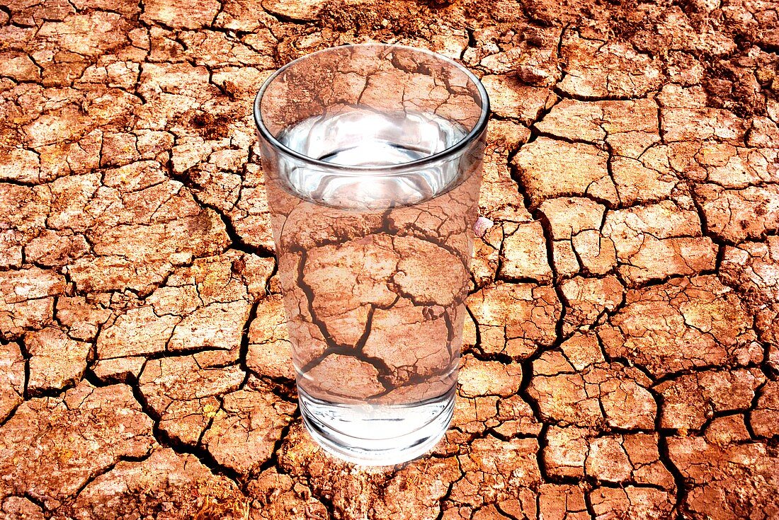 Drought