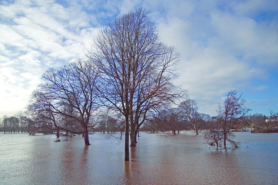 Flooded parkland,Carlisle