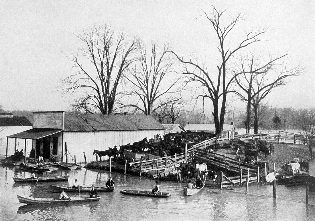 Flooding on the Mississippi River,1912