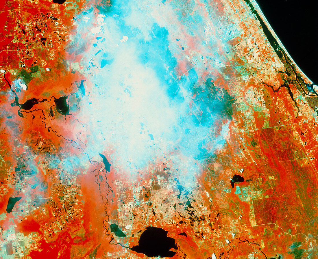Infrared satellite image of forest fires,Florida