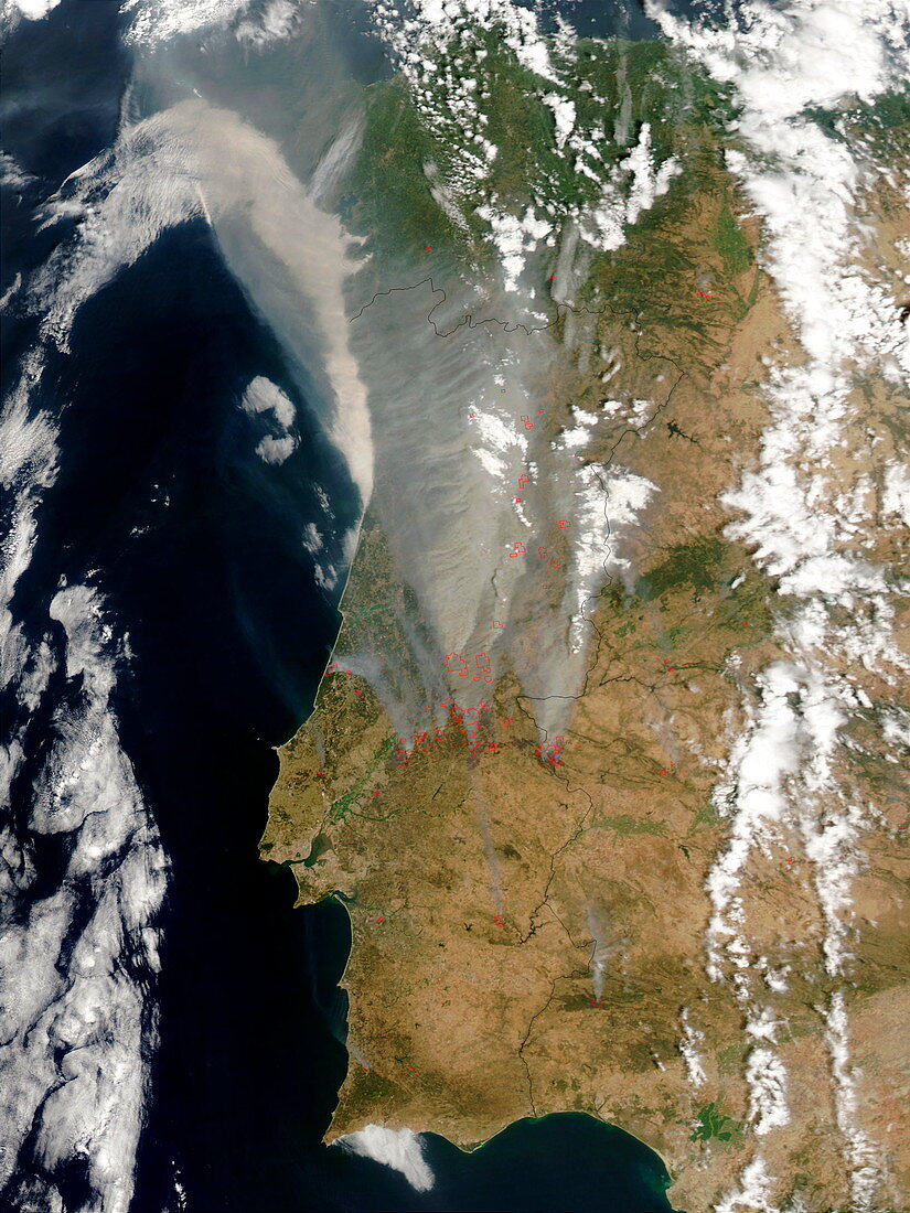 Forest fires,Portugal,2003