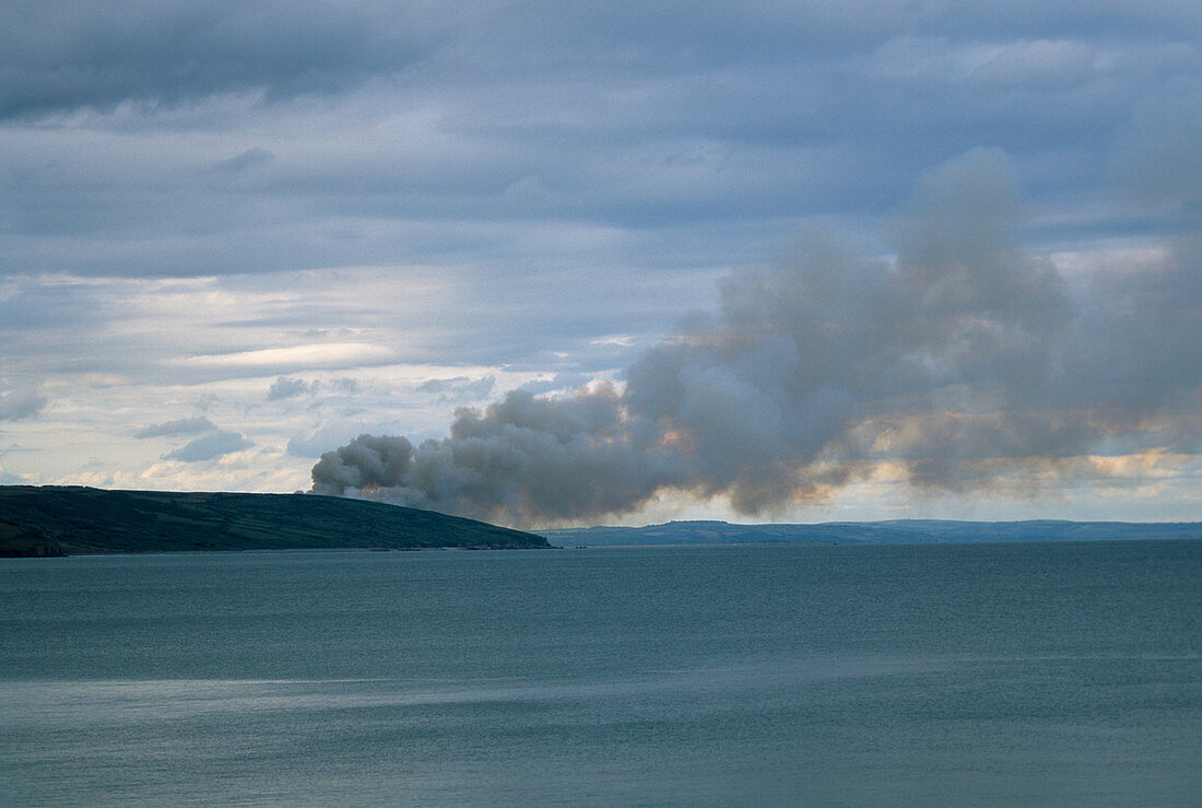 Smoke from a brush fire