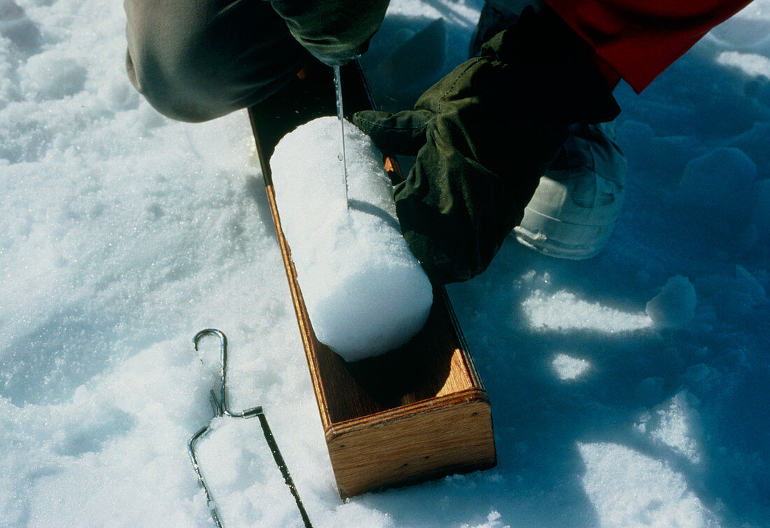 Cutting an ice core for oxygen isotope sampling