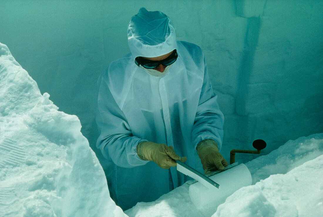 Glaciologist in Antartica saws ice core