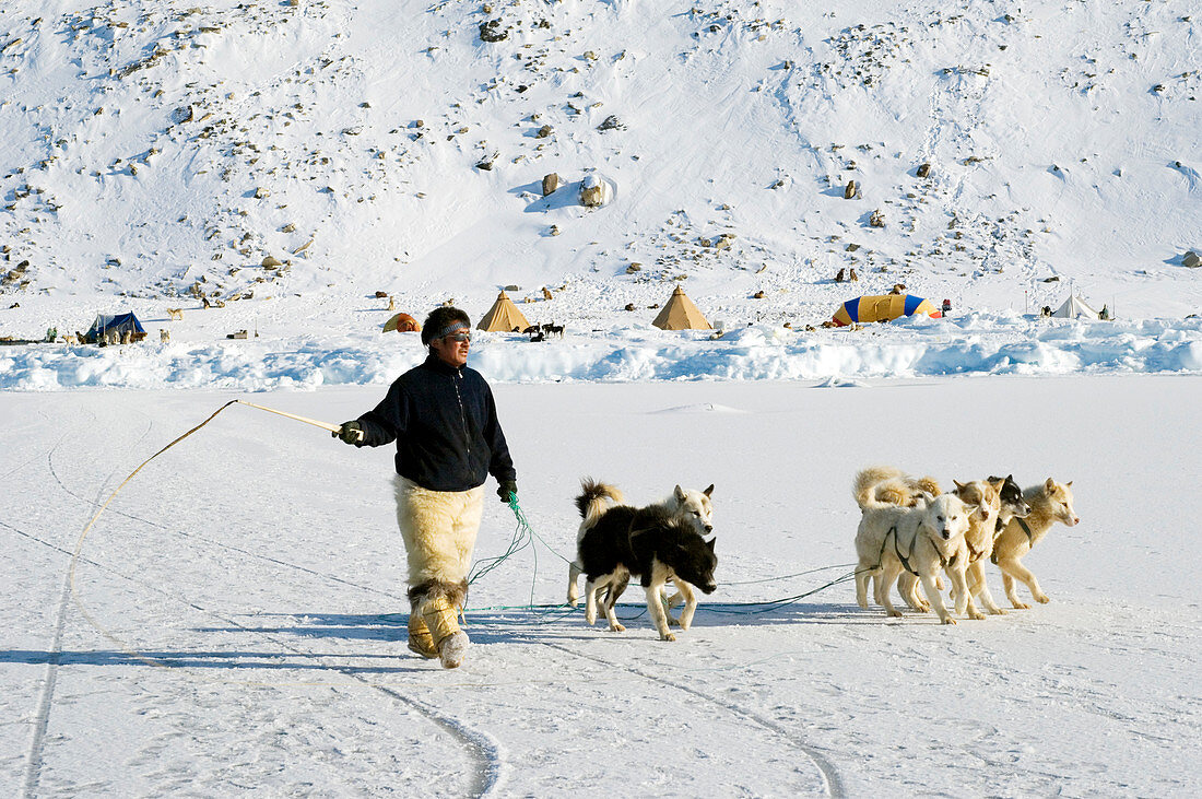 Inuit with dogs