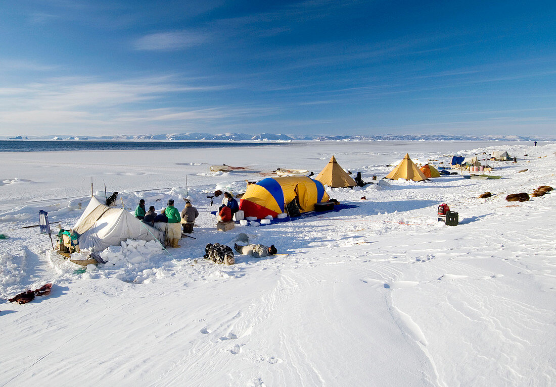 Seal hunting base camp,Greenland