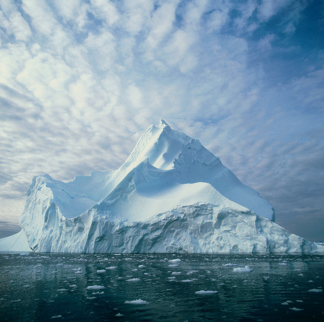 Iceberg in Disco Bay,Greenland