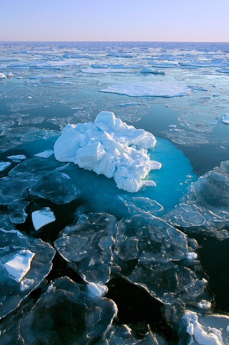 Sea ice,Greenland