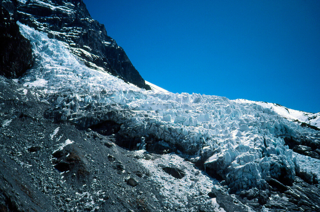 Glacier in the Langtang national park,Nepal