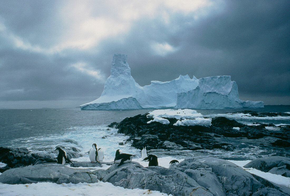 Icebergs aground in Biscoe Islands,Antarctica
