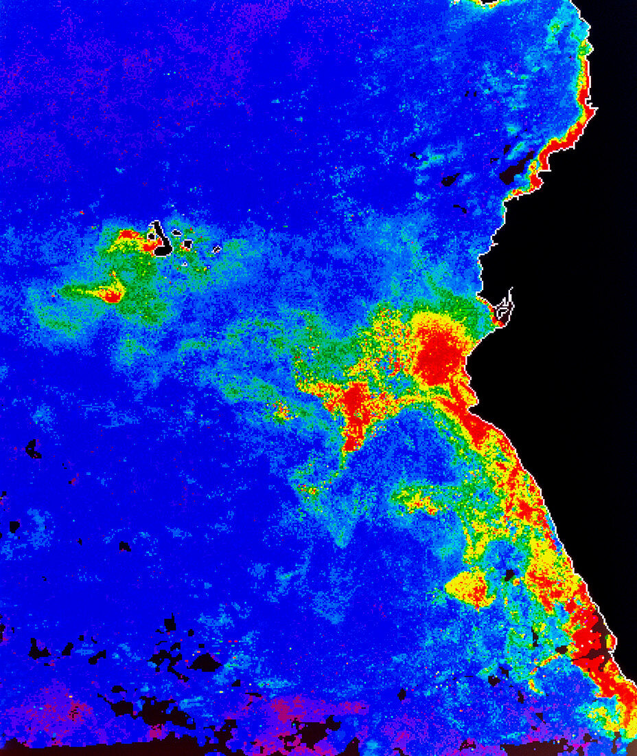 Fal-col satellite image of coastal waters (Peru)