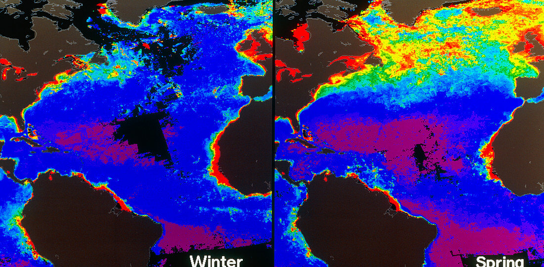 False-colour satellite images of Atlantic ocean