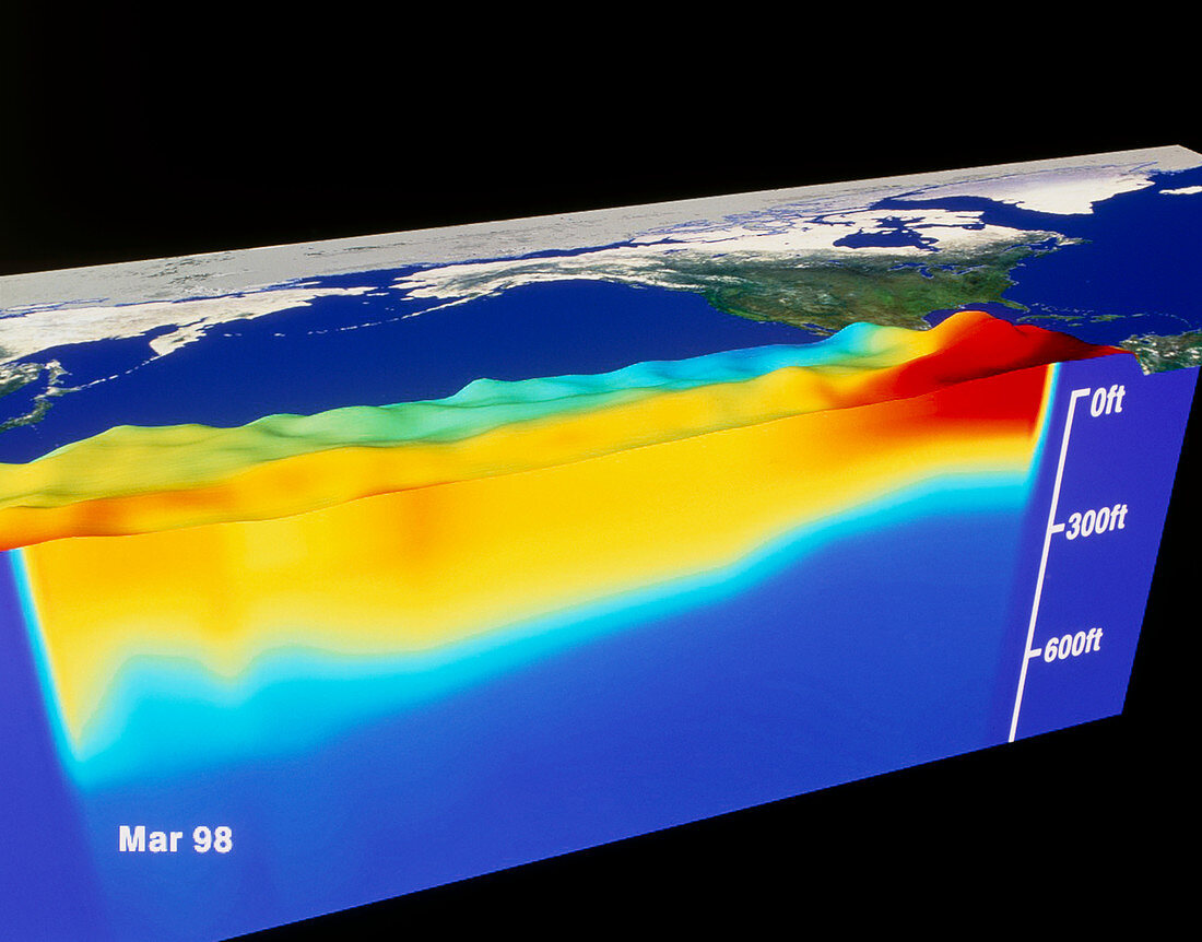 1998 El Nino Pacific sea levels and temperatures