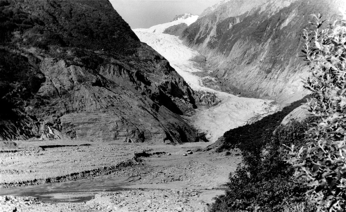 Franz Joseph Glacier in 1960