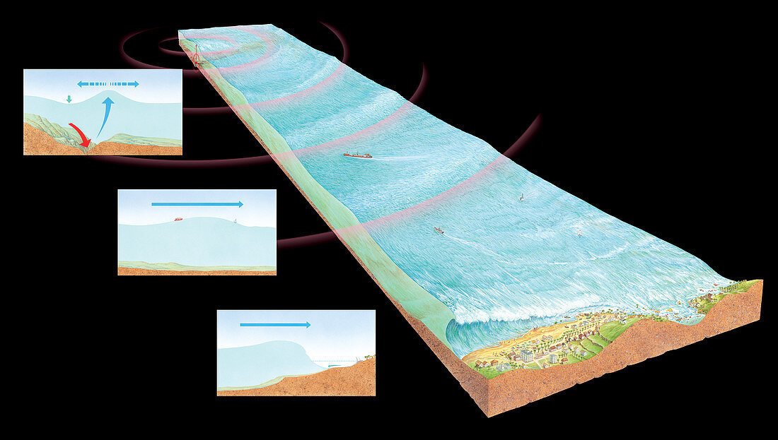 Tsunami formation