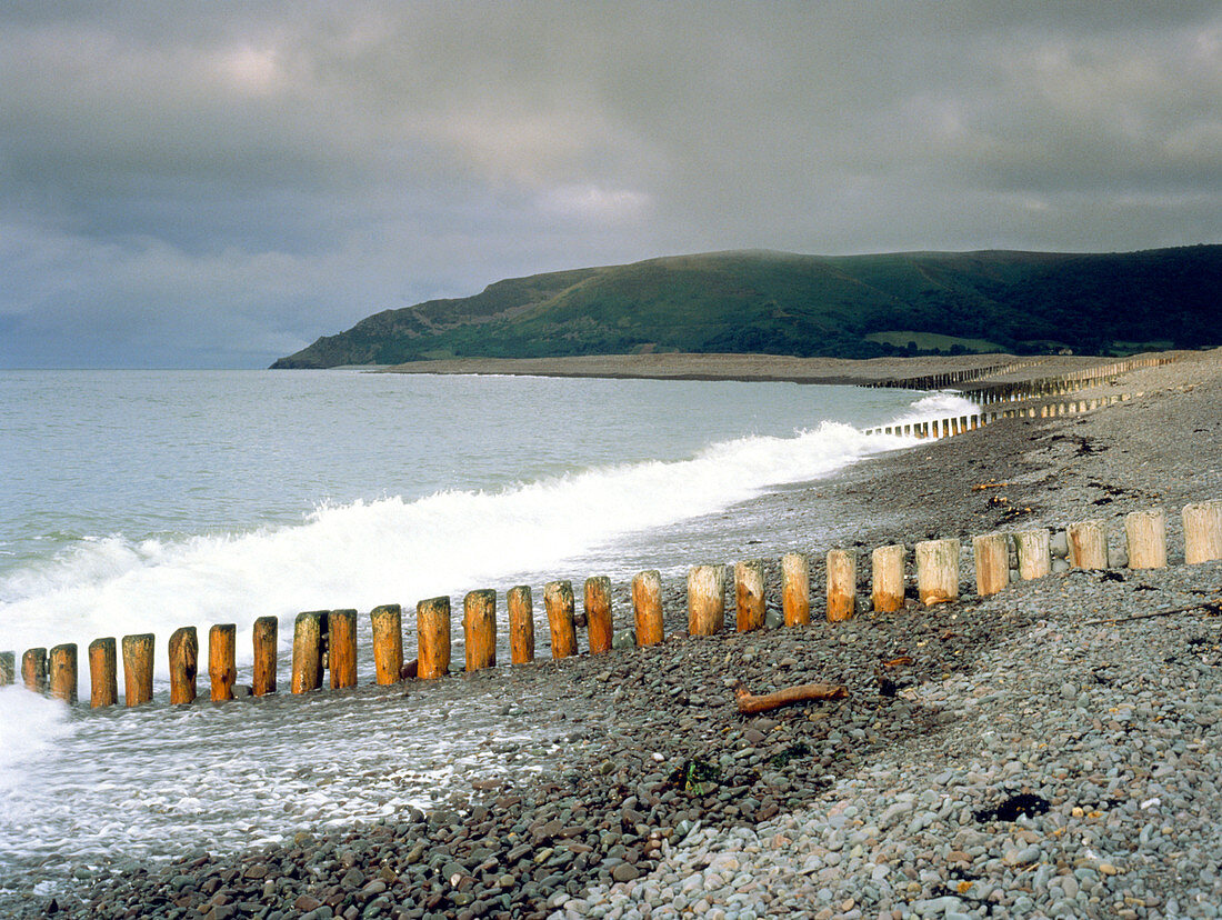Wooden groyne on coastline