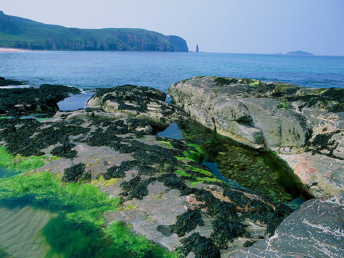 Rock pools in Sandwood Bay,Scotland