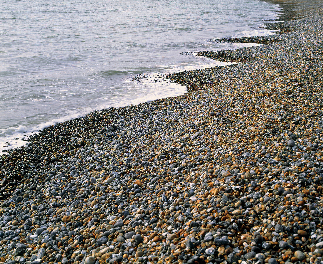 Pebble beach in Sussex