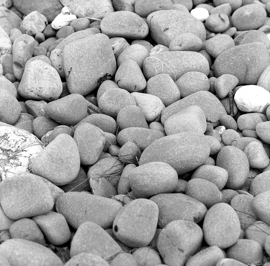 Beach pebbles