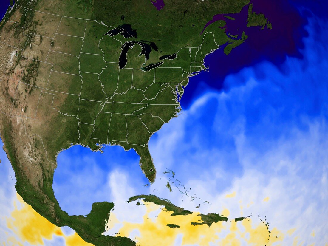 Gulf temperature,January 2007
