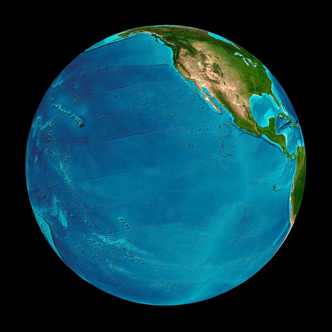 Eastern Pacific Ocean,seafloor map