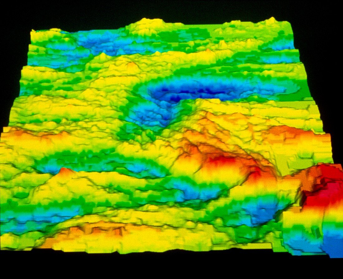 Sonar image of ocean floor showing a rift valley