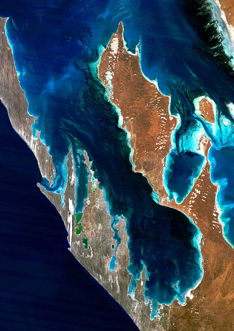 Shark Bay,satellite image