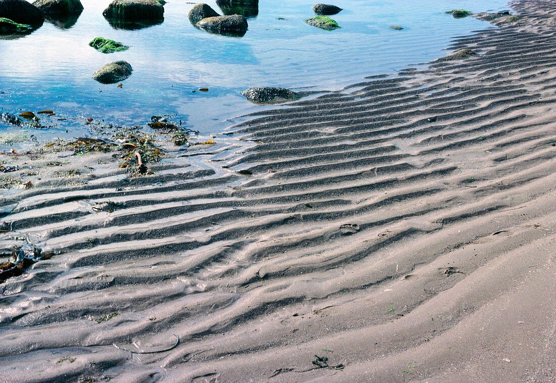 Sand patterns on beach