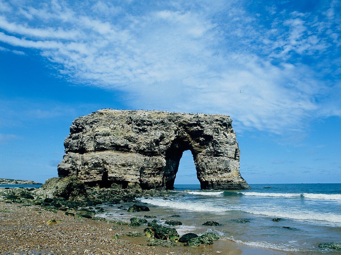 Eroded arch called Marsden Rock