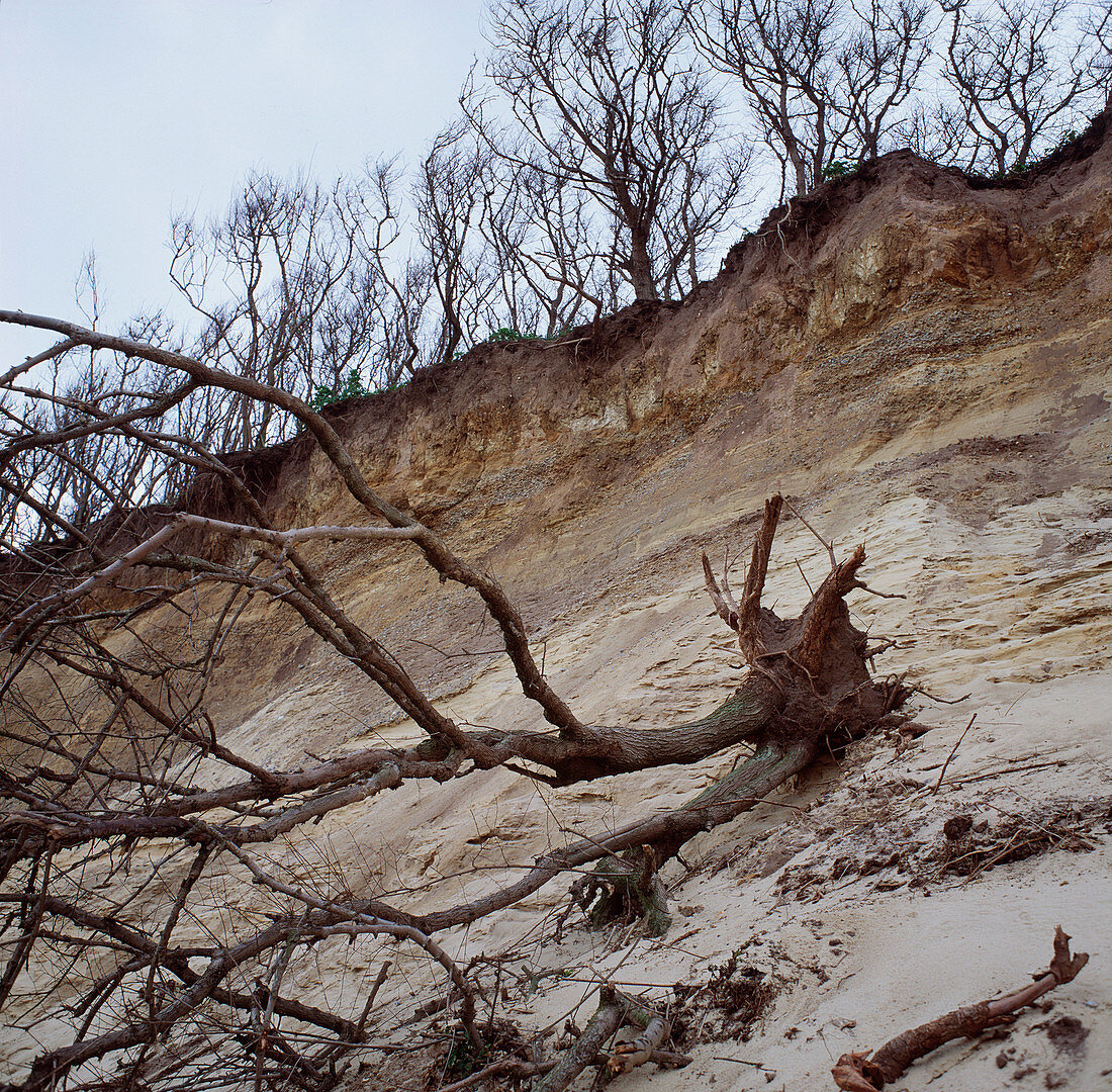 Cliff erosion