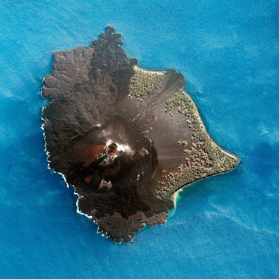 Anak Krakatau volcano satellite image