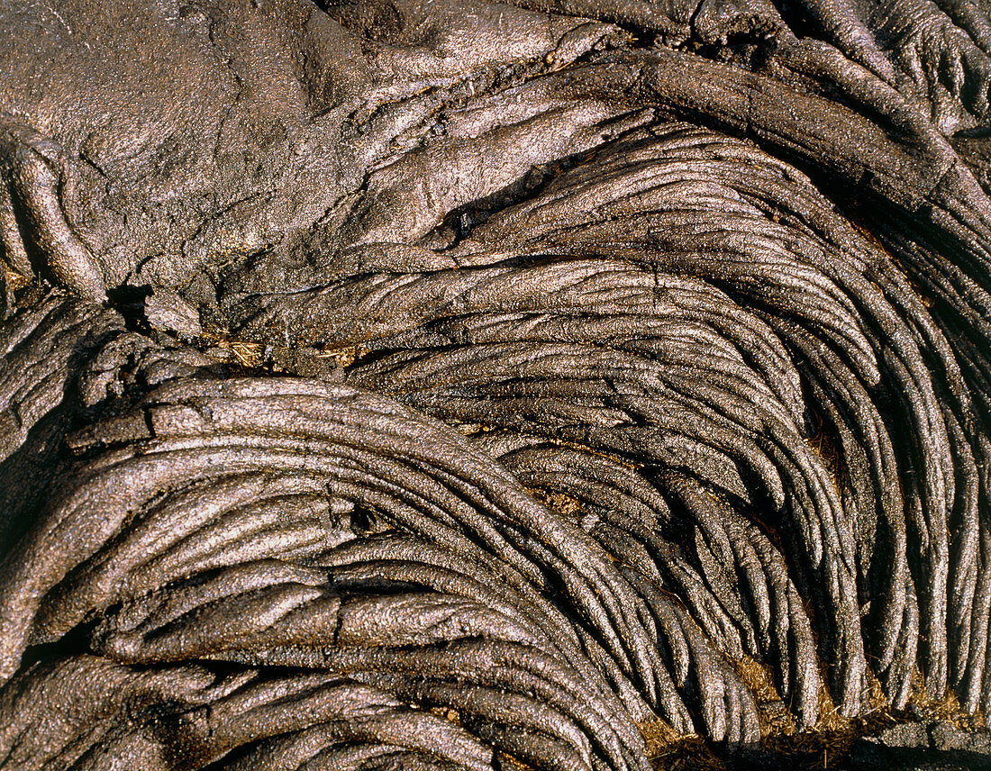 Patterns in cooled pahoehoe lava,Hawaii