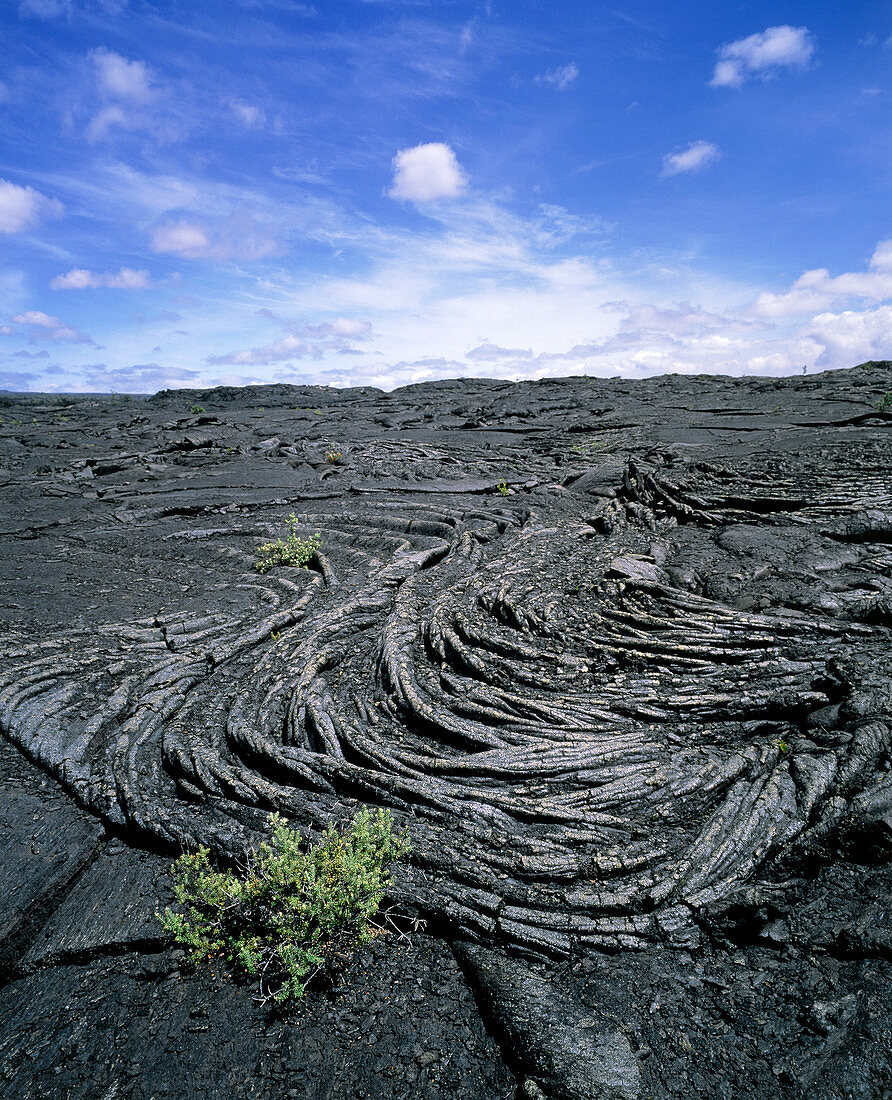 Cooled pahoehoe lava from a volcano