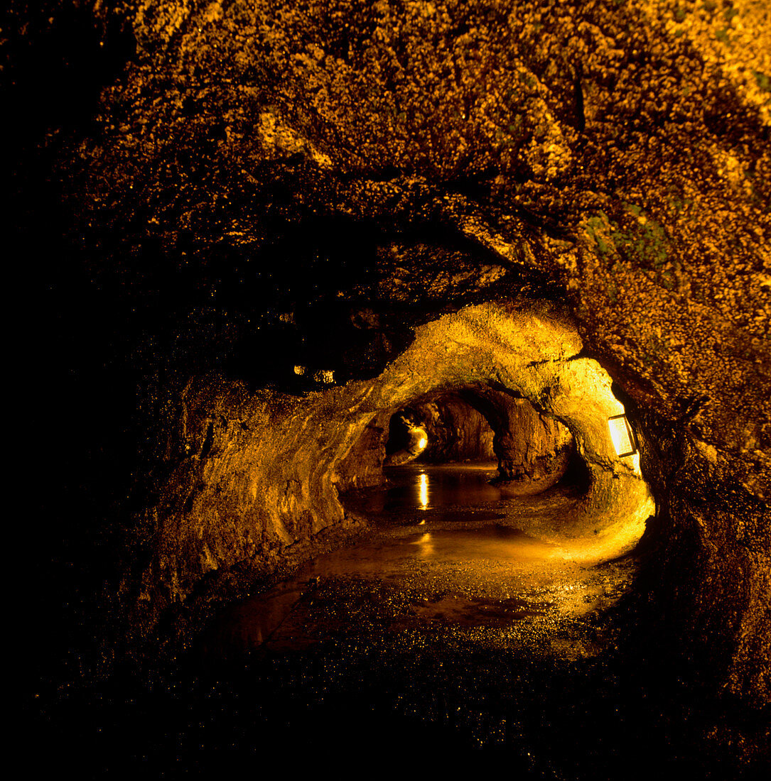 View inside Thurston lava tube on Hawaii,USA