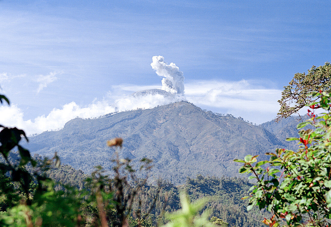 Mount Semeru volcano