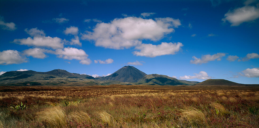 Mount Ngauruhoe volcano,New Zealand