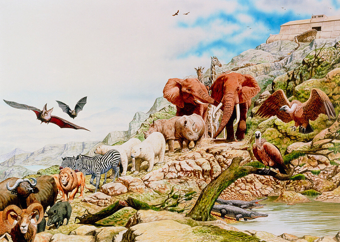 Illustration of Noah's Ark,the animals coming out