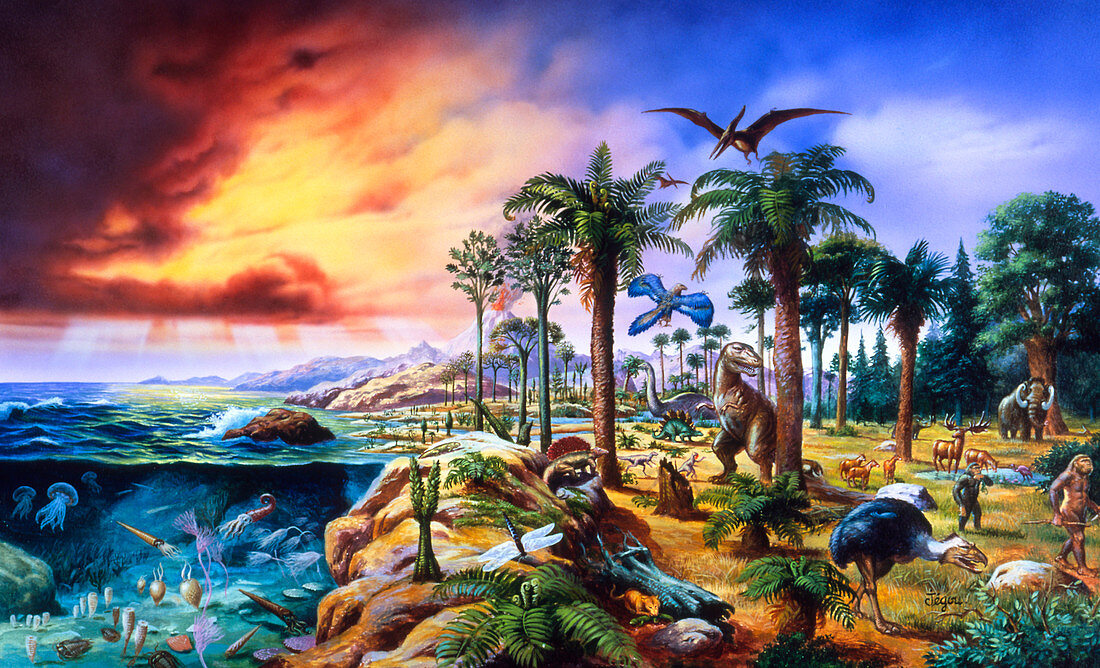 Artwork depicting the evolution of life
