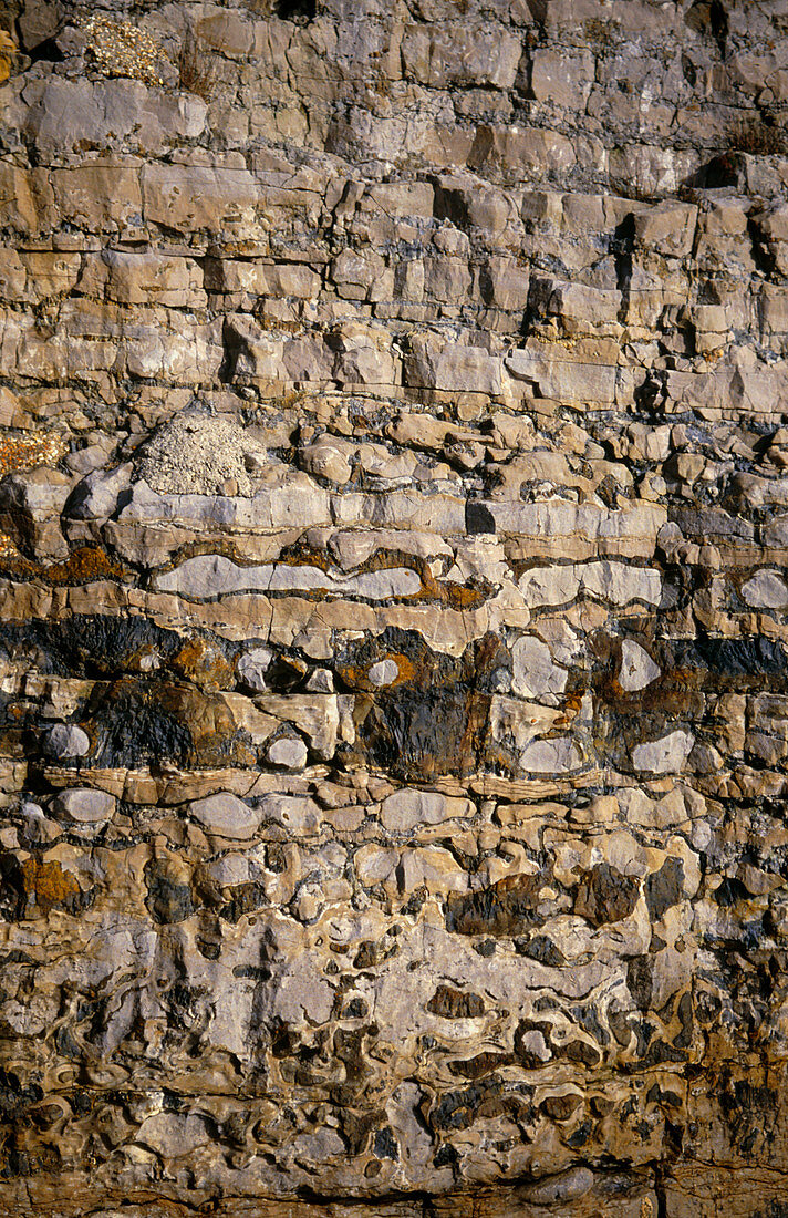 Strata in a limestone cliff