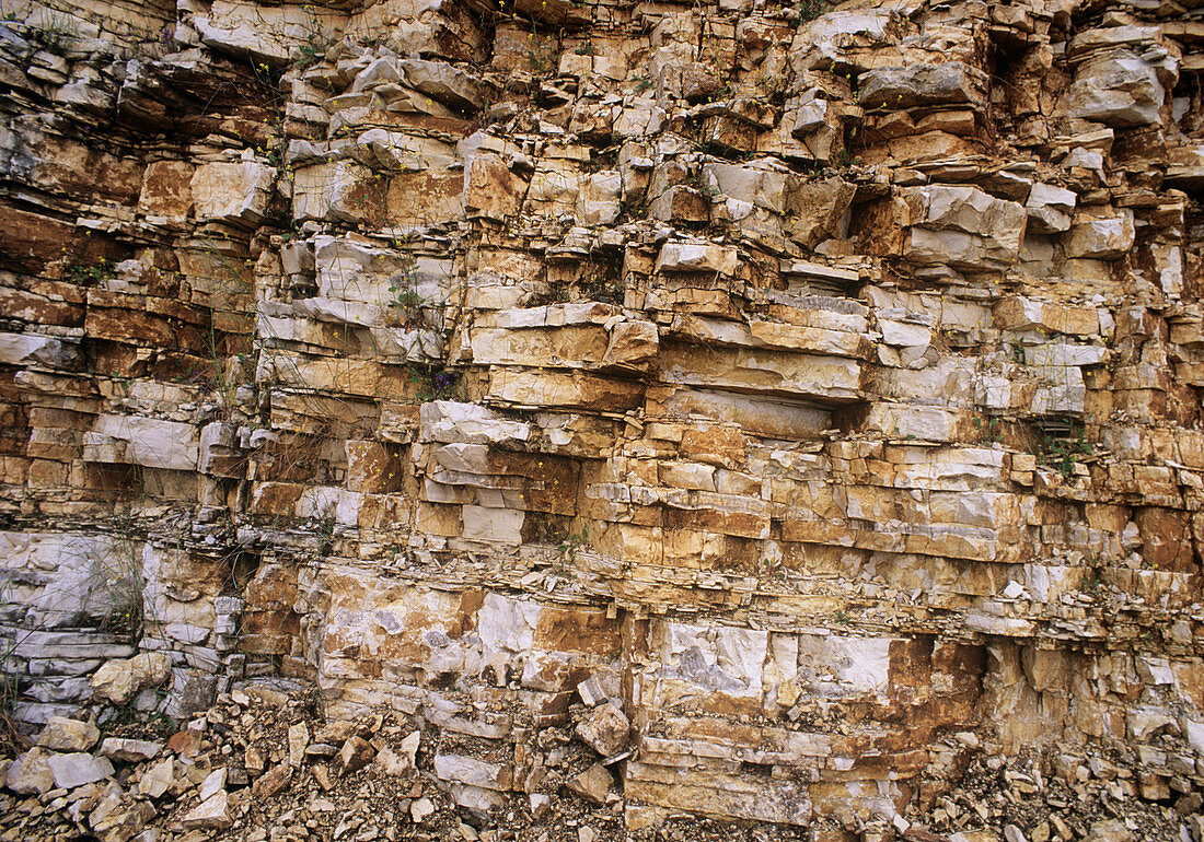 Limestone strata in quarry