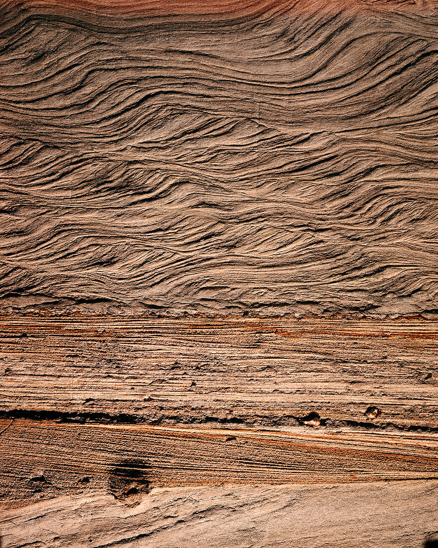 Sedimentary structures in sand beds