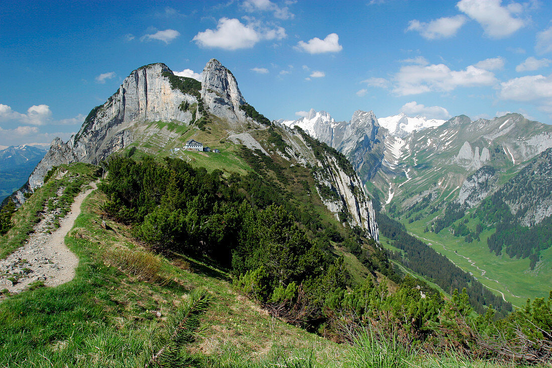 Folded limestone ridge,Switzerland