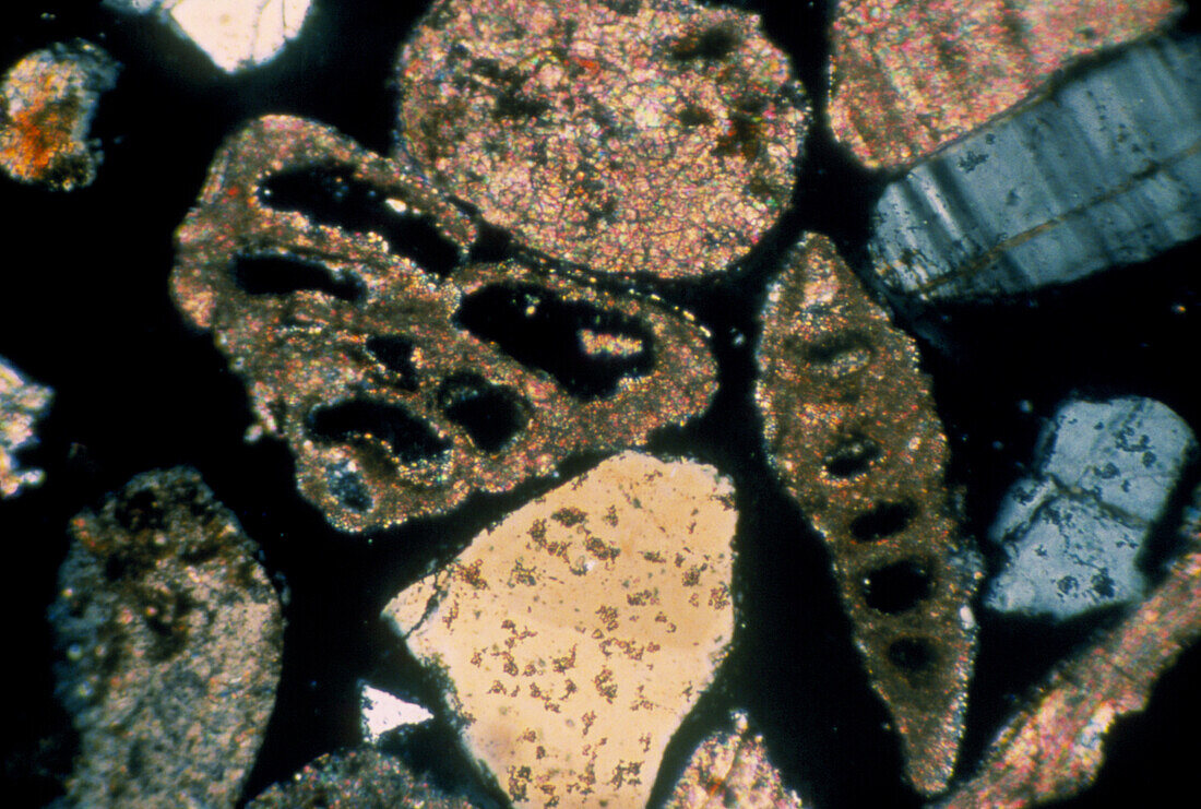 Cross polarised light micrograph of sand grains