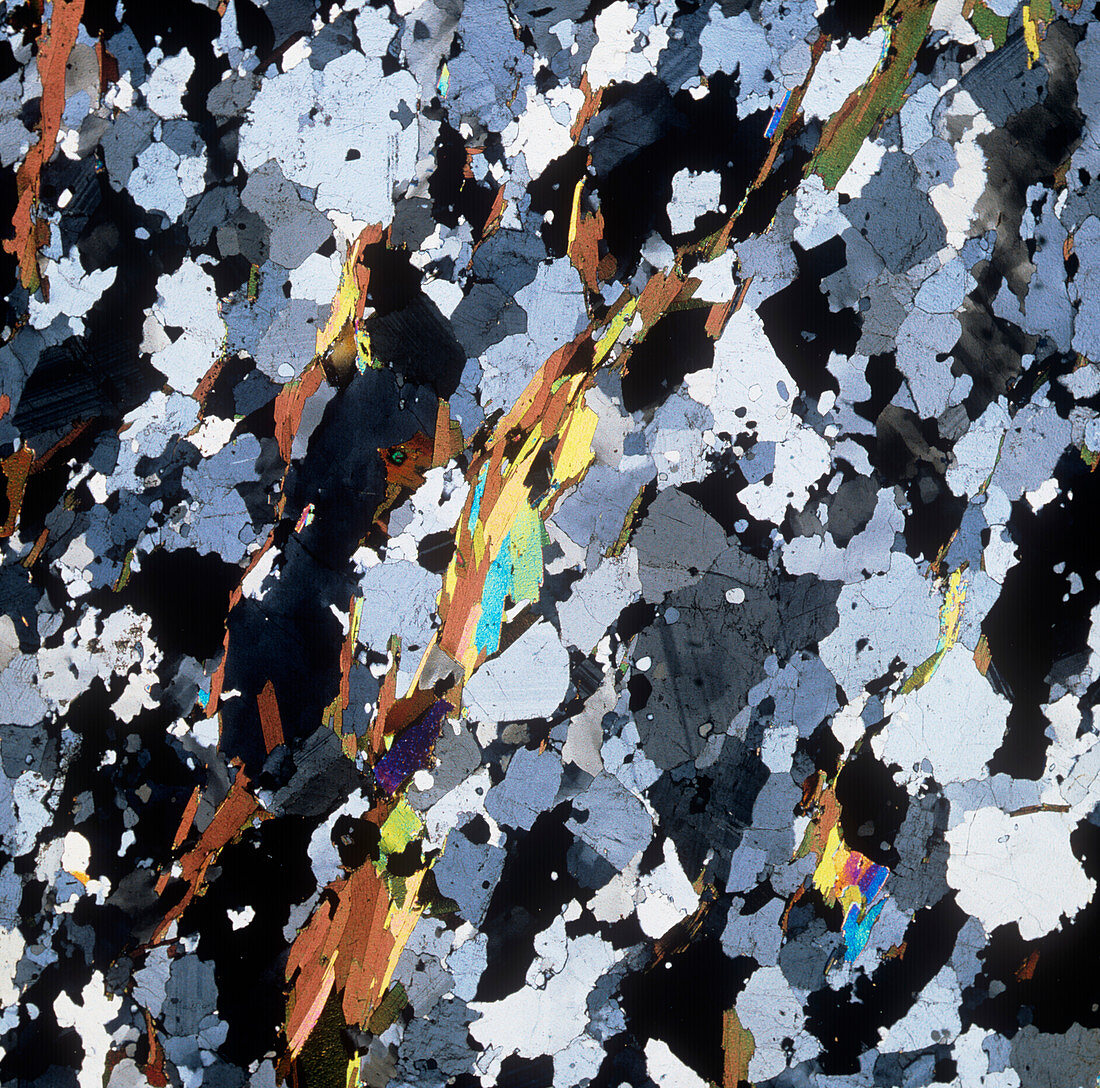 Polarised LM of thin section of gneiss
