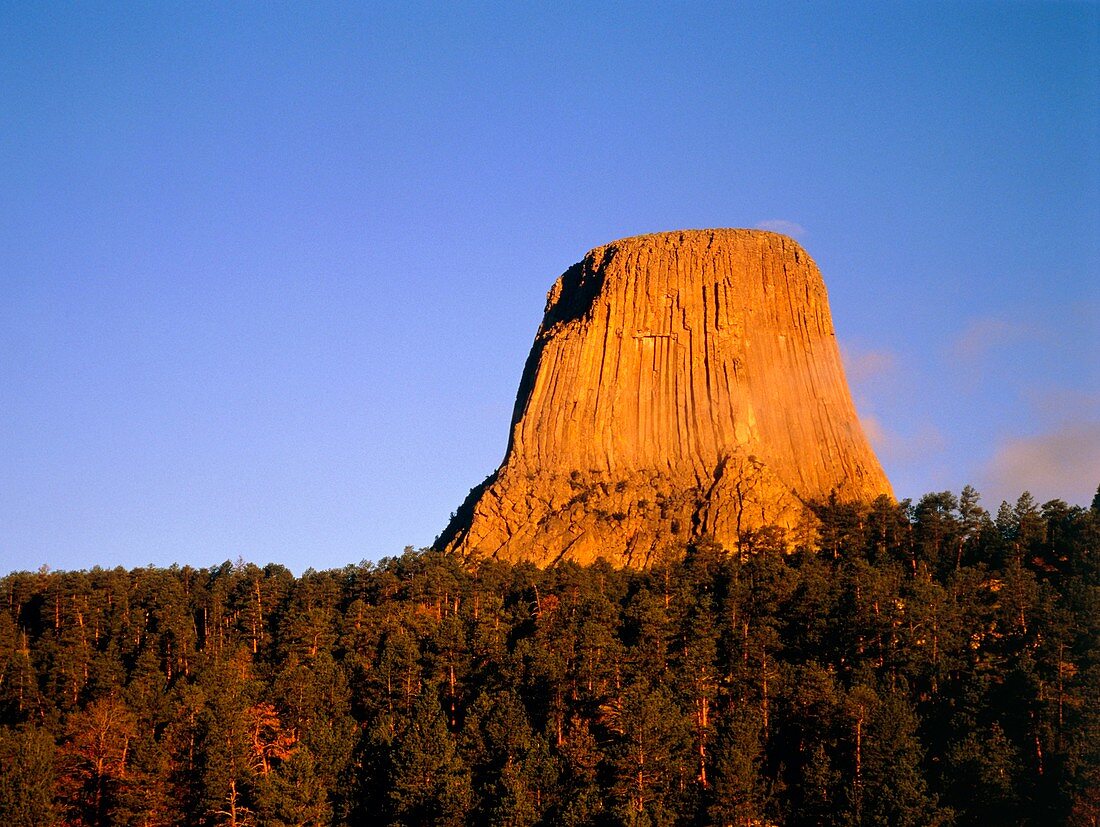 Devil's Tower,a basalt outcrop